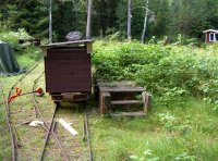 'Forrest' on the platform